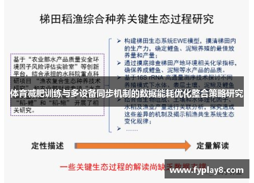 体育减肥训练与多设备同步机制的数据能耗优化整合策略研究